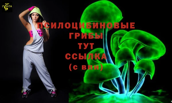 крисы Белоозёрский