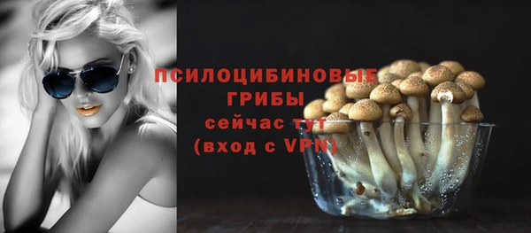 крисы Белоозёрский